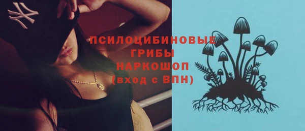 твердый Ростов