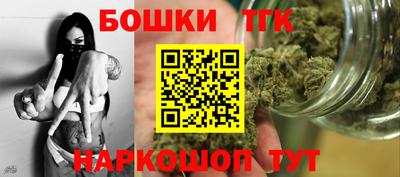 индика Заволжье