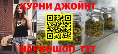 индика Заволжье