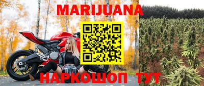 индика Заволжье