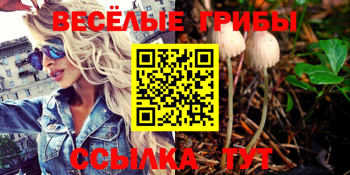 Сланцы  Псилоцибиновые грибы GOLDEN TEACHER  Вход с VPN 