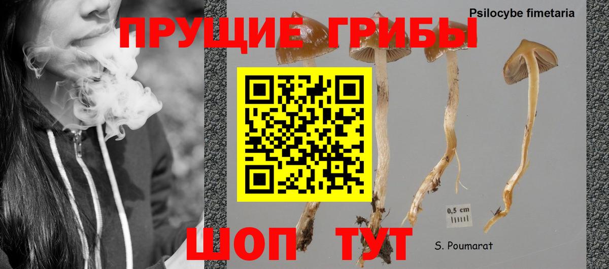 Галлюциногенные грибы GOLDEN TEACHER Сланцы