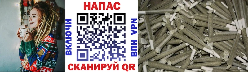 Канабис сатива  blacksprut tor  Сланцы  где продают наркотики 